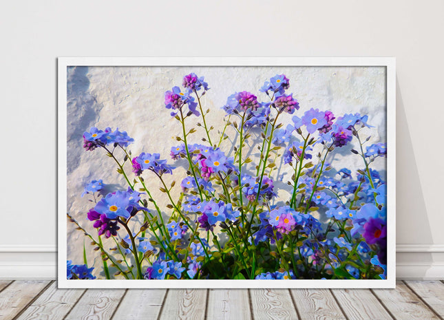 Forget me nots, white stone wall. Framed picture print, choice of frame colours