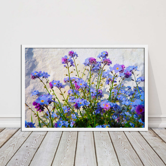 Forget me nots, white stone wall. Framed picture print, choice of frame colours