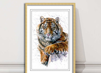 Tiger portrait painting with colour splash framed print choice on colours