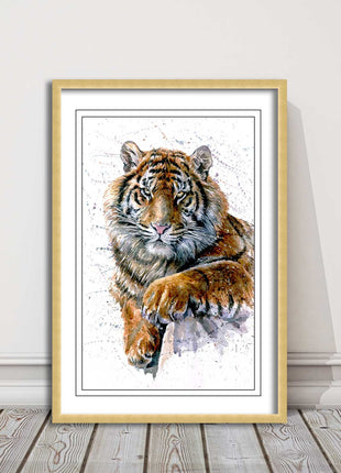 Tiger portrait painting with colour splash framed print choice on colours