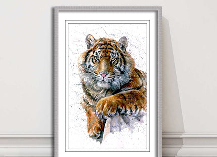 Tiger portrait painting with colour splash framed print choice on colours
