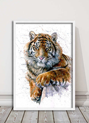 Tiger portrait painting with colour splash framed print choice on colours