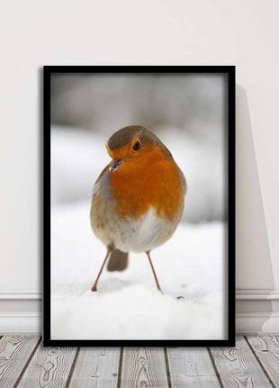picture frame wall art robin in the snowprinted and frame included