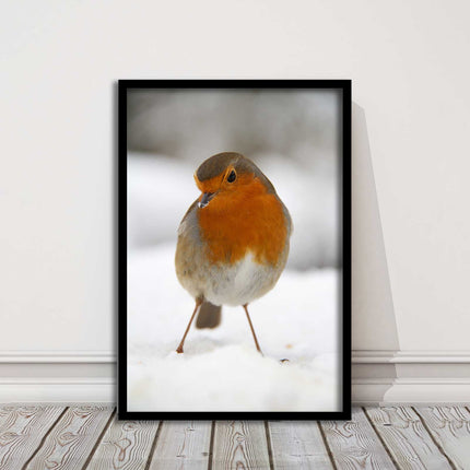 picture frame wall art robin in the snowprinted and frame included