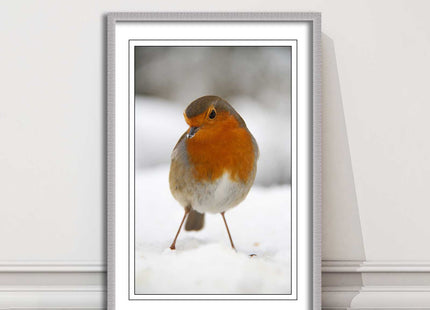 picture frame wall art robin in the snowprinted and frame included