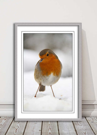 picture frame wall art robin in the snowprinted and frame included