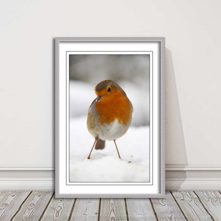 picture frame wall art robin in the snowprinted and frame included