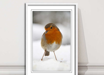 picture frame wall art robin in the snowprinted and frame included