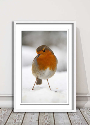 picture frame wall art robin in the snowprinted and frame included