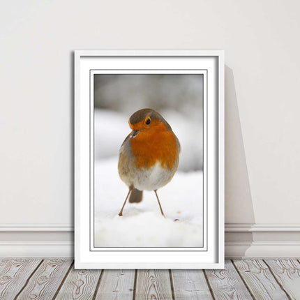 picture frame wall art robin in the snowprinted and frame included
