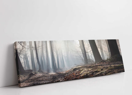 Misty forest paths in winter. Panoramic canvas picture print.