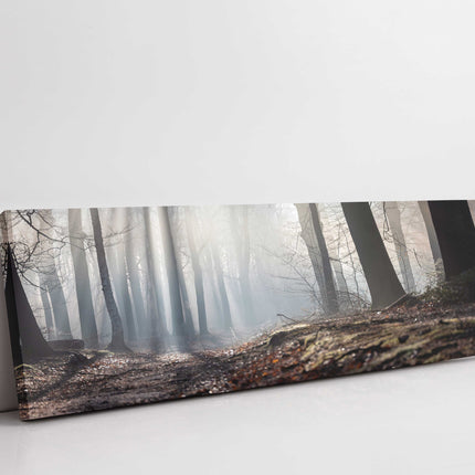 Misty forest paths in winter. Panoramic canvas picture print.