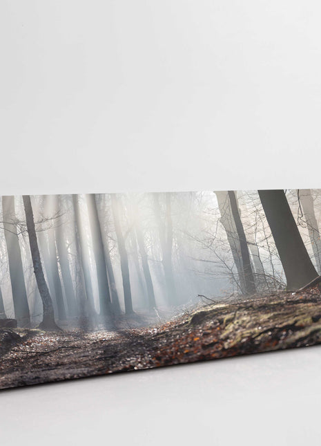 Misty forest paths in winter. Panoramic canvas picture print.