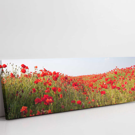 poppy field canvas picture print reds and greens panoramic