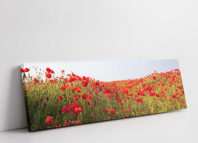 poppy field canvas picture print reds and greens panoramic