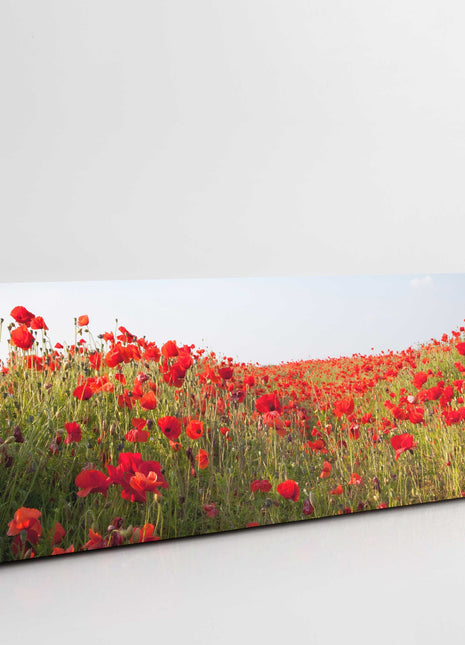 poppy field canvas picture print reds and greens panoramic