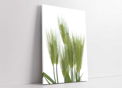 Wheat bundle. Green with white background modern picture, canvas print. Portrait