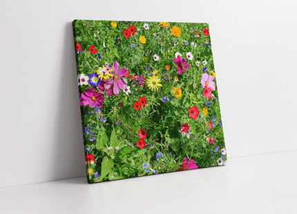 Wild colourful flowers in lush green grass. Canvas picture print. Wall art