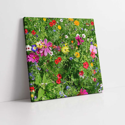 Wild colourful flowers in lush green grass. Canvas picture print. Wall art