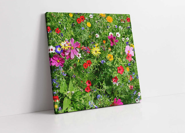 Wild colourful flowers in lush green grass. Canvas picture print. Wall art
