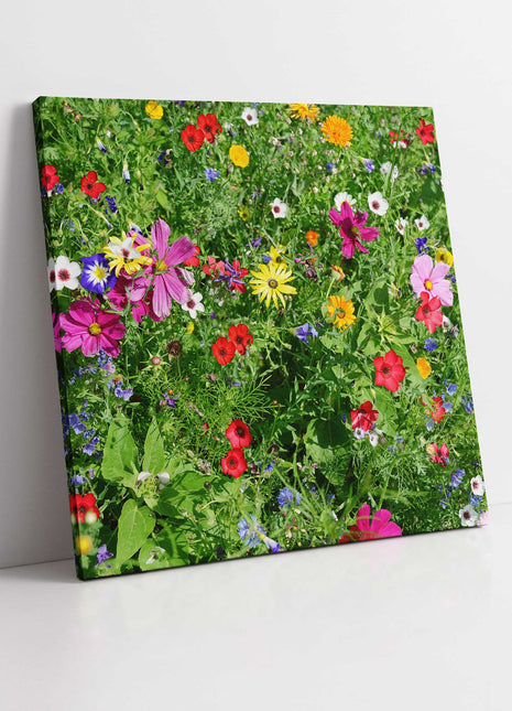Wild colourful flowers in lush green grass. Canvas picture print. Wall art
