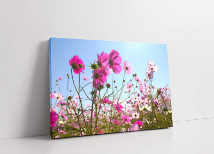 Pink wild flowers.nature floral canvas picture print