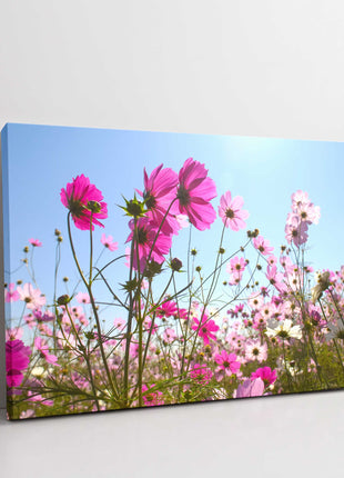 Pink wild flowers.nature floral canvas picture print