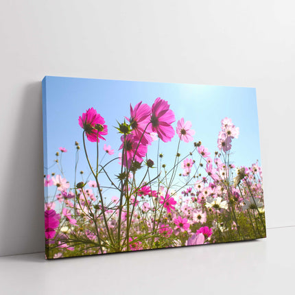 Pink wild flowers.nature floral canvas picture print