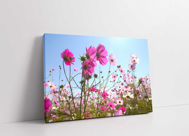 Pink wild flowers.nature floral canvas picture print