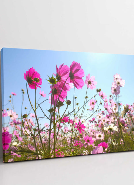 Pink wild flowers.nature floral canvas picture print