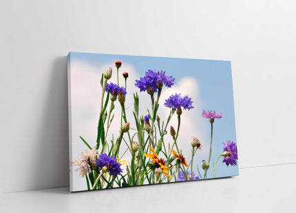 Wild flowers purple blue canvasp picture print landscape