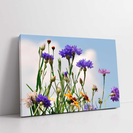 Wild flowers purple blue canvasp picture print landscape
