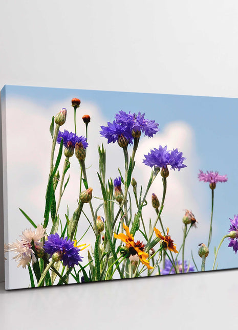 Wild flowers purple blue canvasp picture print landscape