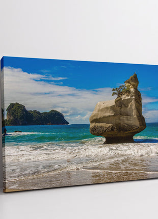New Zealand. Cathedral Cove Beach, North Island. Canvas picture Print.