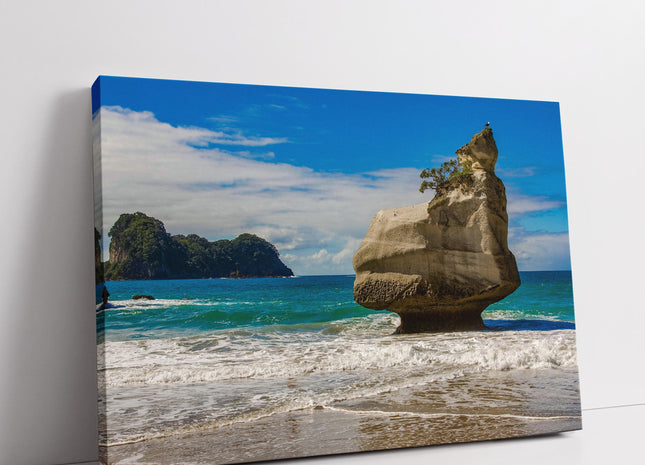 New Zealand. Cathedral Cove Beach, North Island. Canvas picture Print.