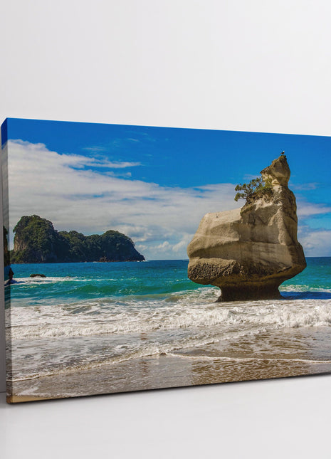 New Zealand. Cathedral Cove Beach, North Island. Canvas picture Print.