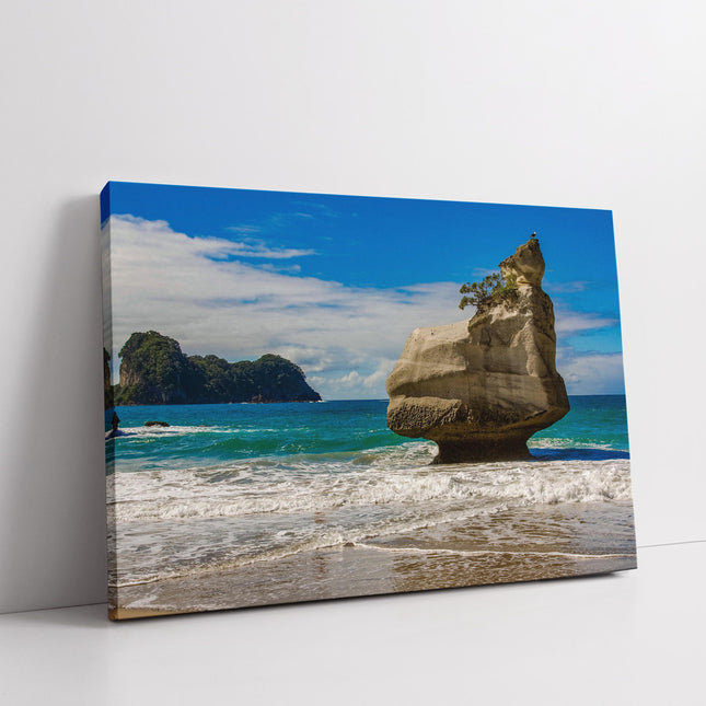 New Zealand. Cathedral Cove Beach, North Island. Canvas picture Print.