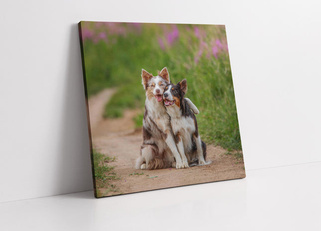 Cute hugging dogs. Canvas picture print. A choice of sizes available. Wall Art