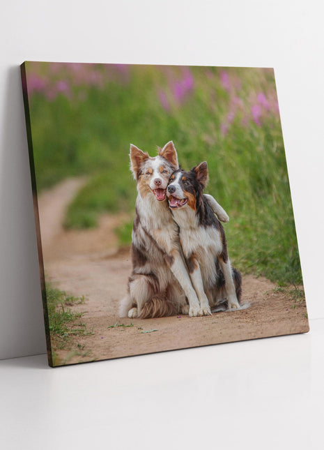 Cute hugging dogs. Canvas picture print. A choice of sizes available. Wall Art