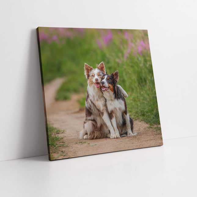 Cute hugging dogs. Canvas picture print. A choice of sizes available. Wall Art