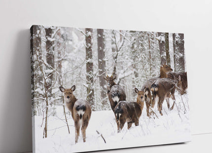 deer in a snow covered forest. Landscape canvas picture print