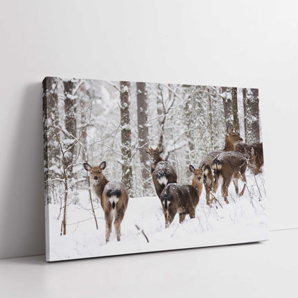 deer in a snow covered forest. Landscape canvas picture print