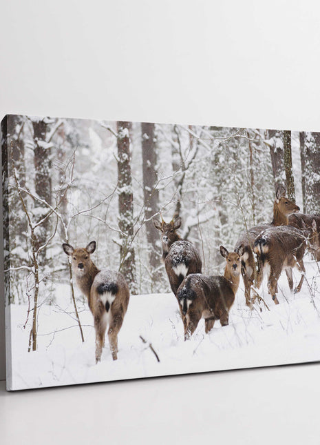 deer in a snow covered forest. Landscape canvas picture print