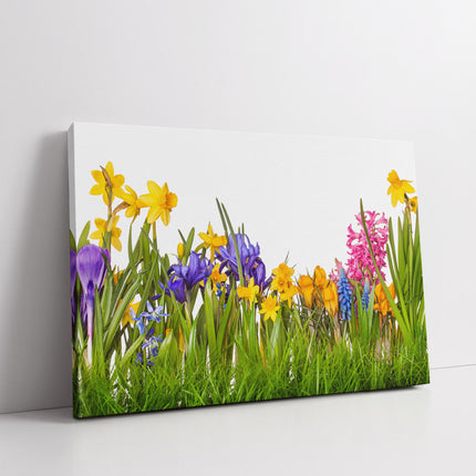 Wild flowers and grasses on white background canvas picture print