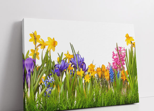Wild flowers and grasses on white background canvas picture print