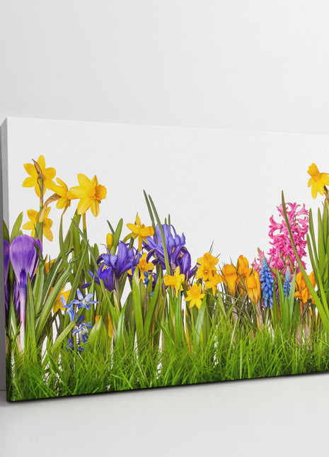 Wild flowers and grasses on white background canvas picture print