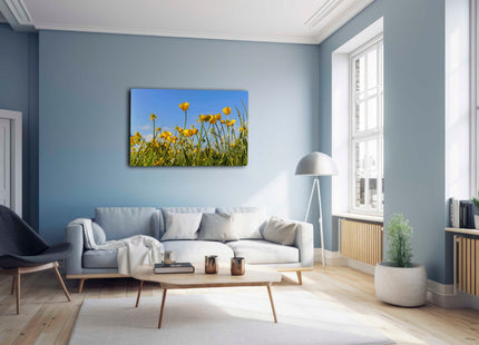 Wild flowers, buttercups and grasses printed canvas picture print.