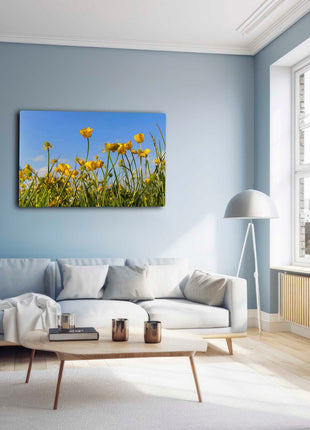 Wild flowers, buttercups and grasses printed canvas picture print.