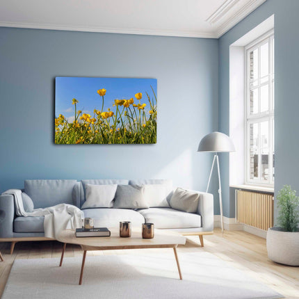 Wild flowers, buttercups and grasses printed canvas picture print.