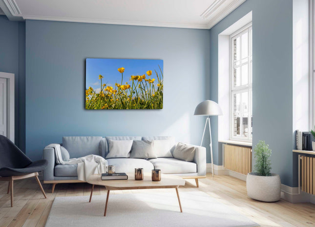 Wild flowers, buttercups and grasses printed canvas picture print.